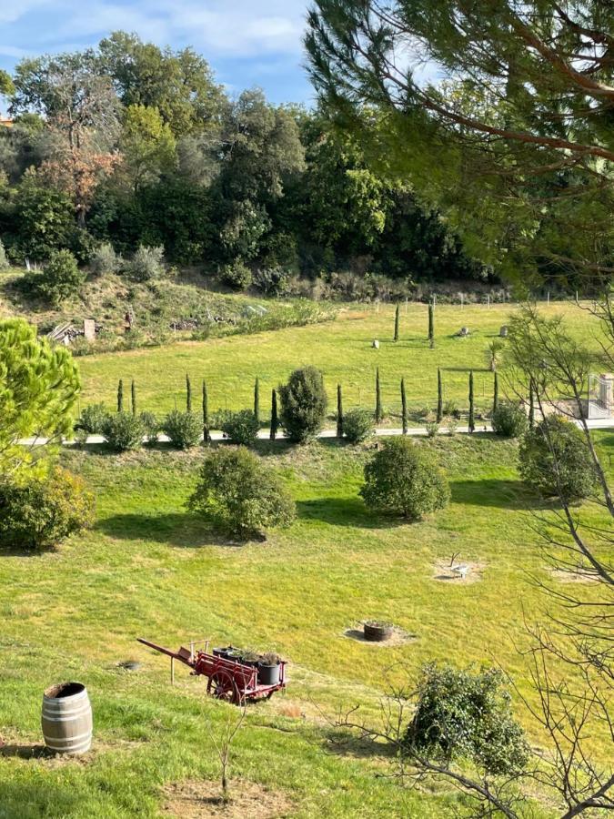 Resort Panoramico Canale Suite - Private Parking - Natural Park Синалунга Экстерьер фото